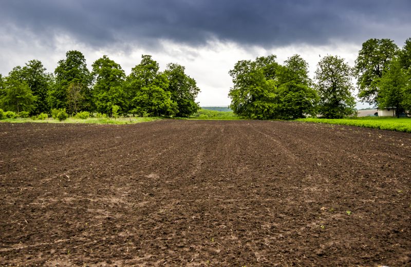 Katy, TX